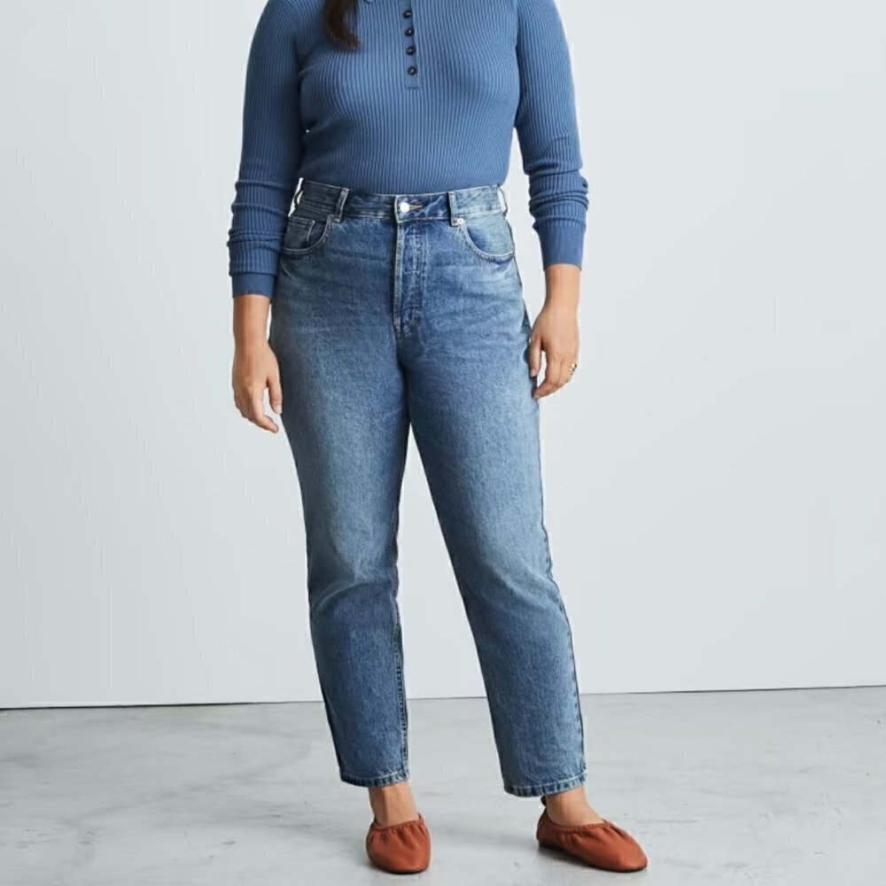 NWOT Everlane The Curvy 90's Cheeky Straight Jean in Vintage Mid Blue - Size 25